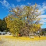 Thumbnail of related posts 112