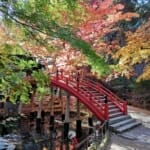 Thumbnail of related posts 119
