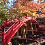 Thumbnail of post image 083